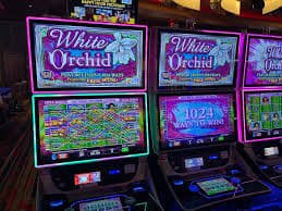 4uvize Sportsbook